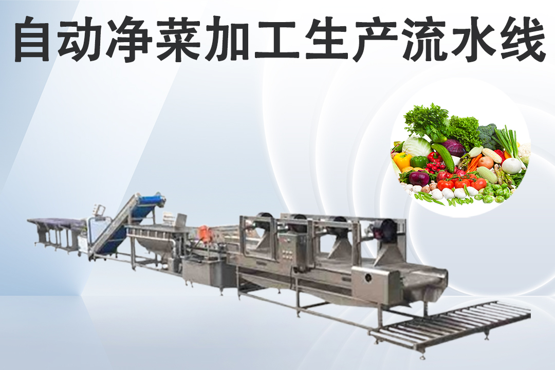 淨菜香蕉视频视频APP流水線